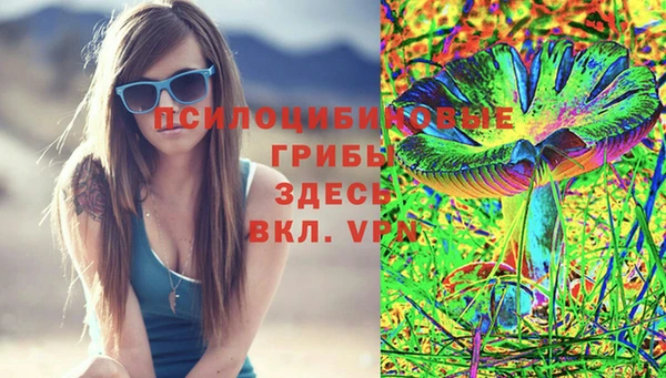 mdpv Арсеньев