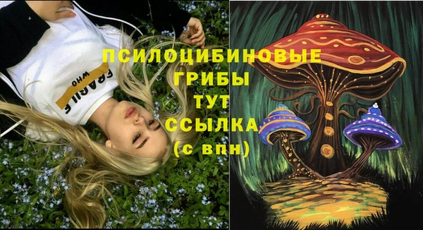 ECSTASY Аркадак