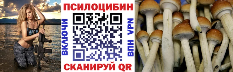 купить наркотик  Теберда  Псилоцибиновые грибы ЛСД 